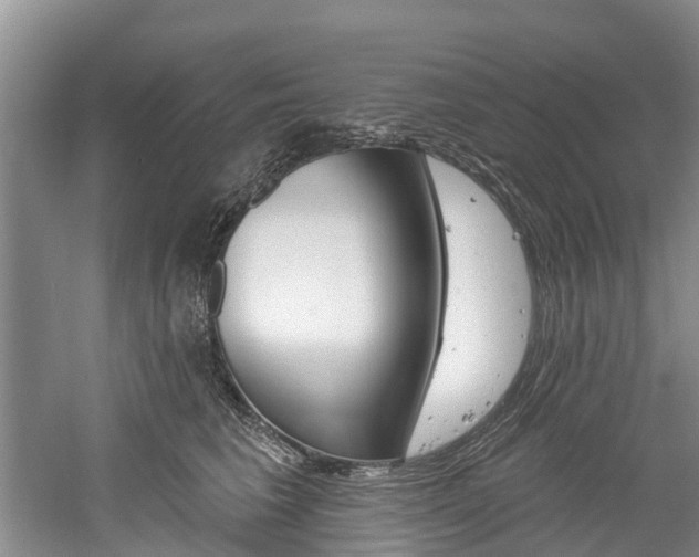 X0000061150613200511181034