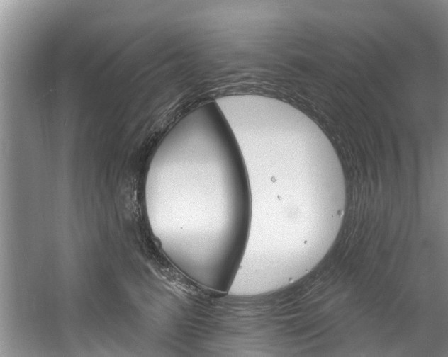 X0000061150615200511181034