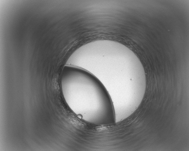 X0000061150616200511181034