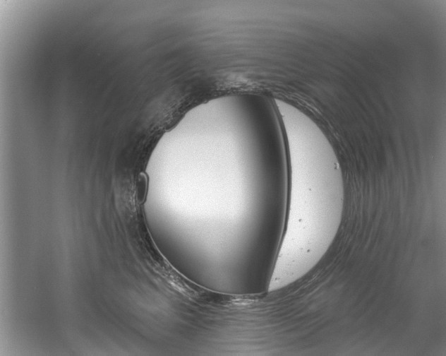 X0000061150617200511181034