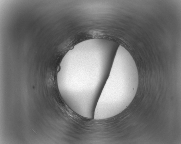 X0000061150618200511181034