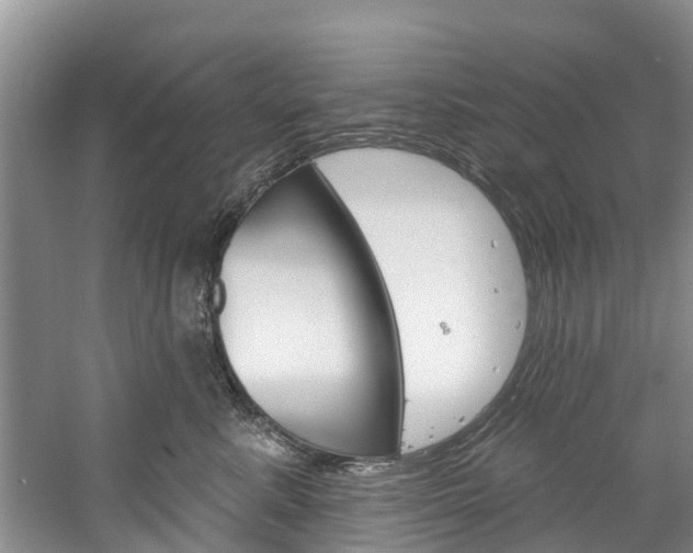 X0000061150619200511181034