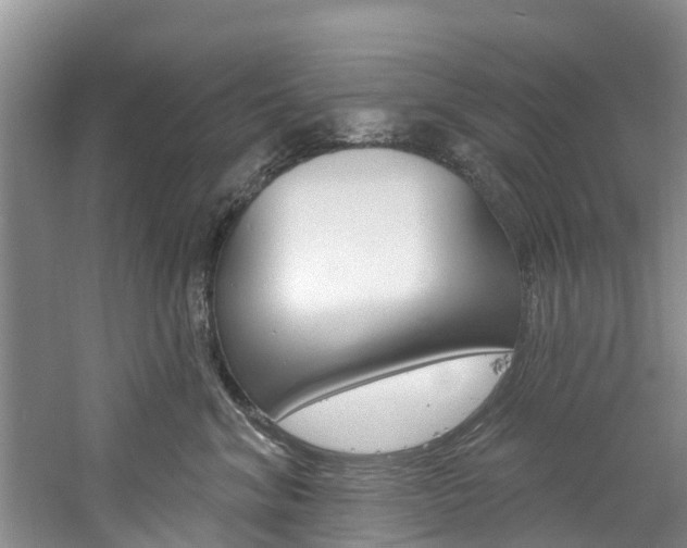 X0000061150620200511181034