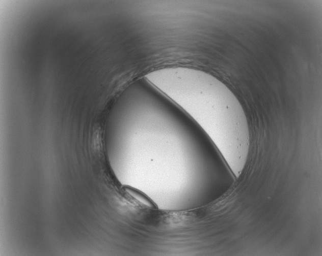 X0000061150623200511181034