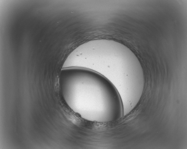 X0000061150624200511181034