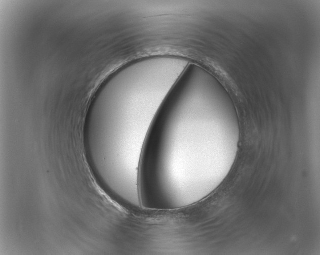 X0000061150625200511181033