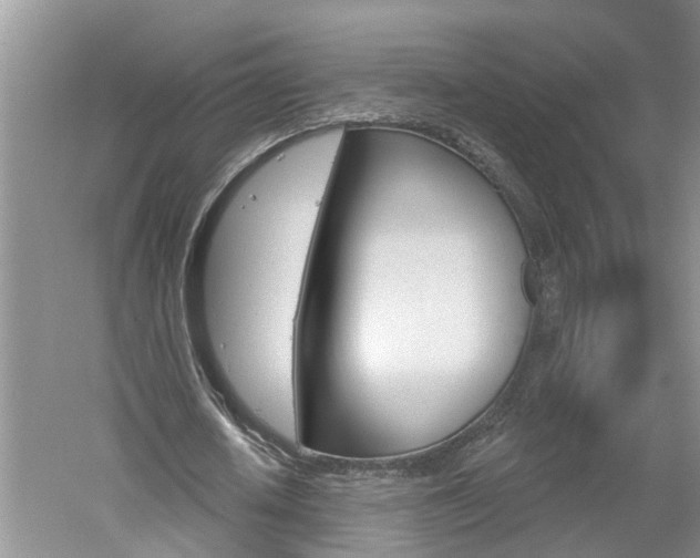 X0000061150626200511181033