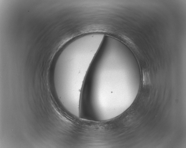 X0000061150627200511181033