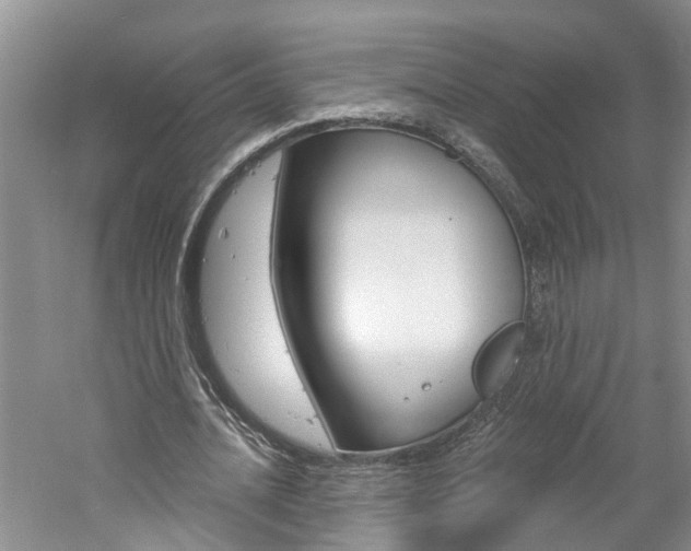 X0000061150628200511181033