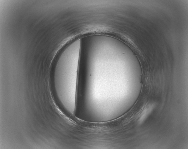 X0000061150629200511181033