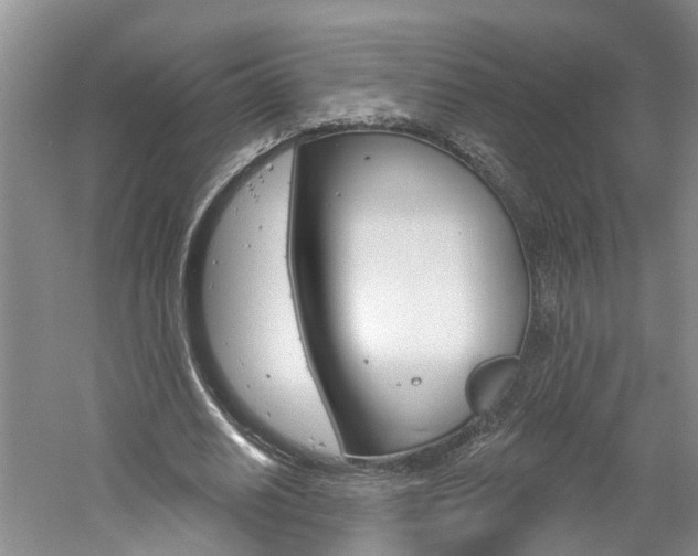 X0000061150630200511181033