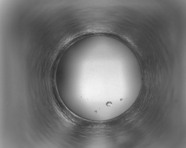 X0000061150631200511181034