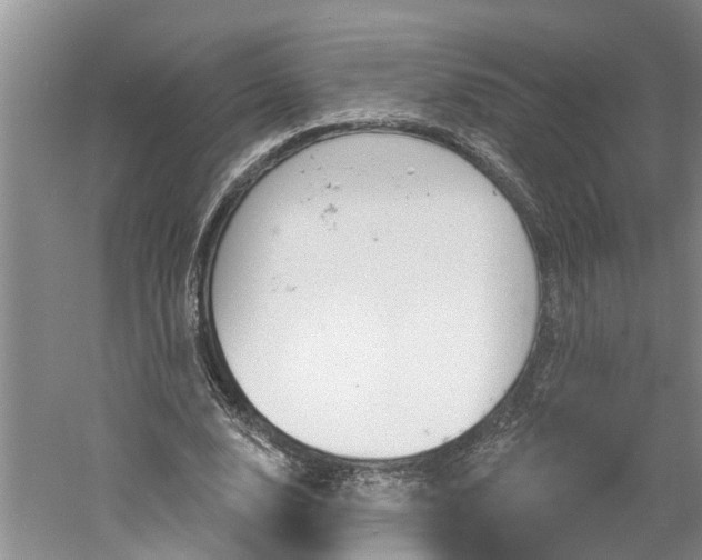 X0000061150632200511181034