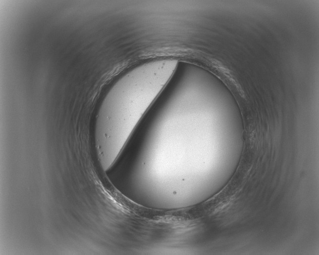 X0000061150633200511181034