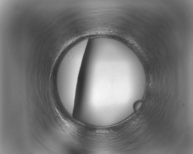 X0000061150636200511181034