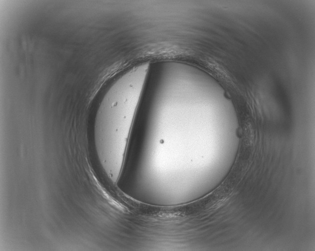 X0000061150638200511181034