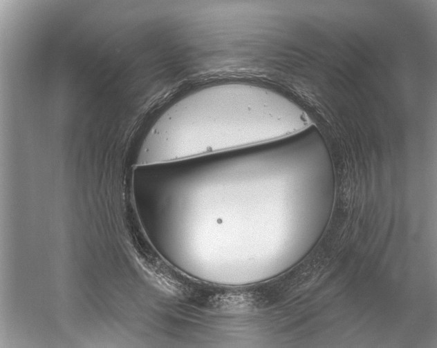 X0000061150639200511181034