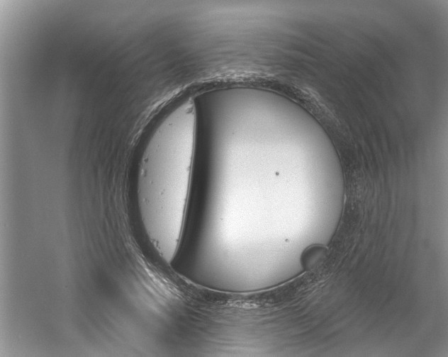 X0000061150640200511181034