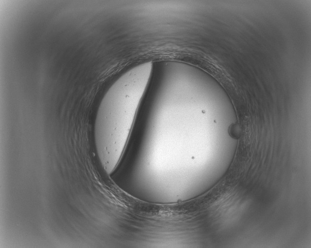 X0000061150641200511181034