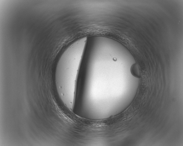 X0000061150642200511181034