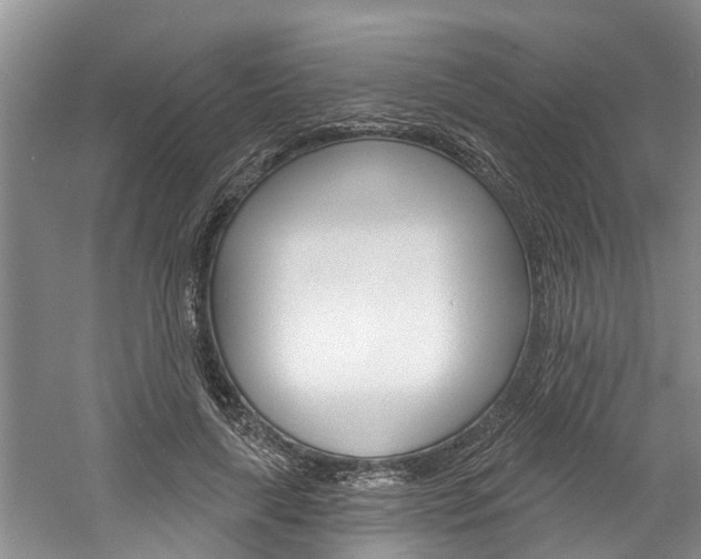 X0000061150643200511181034