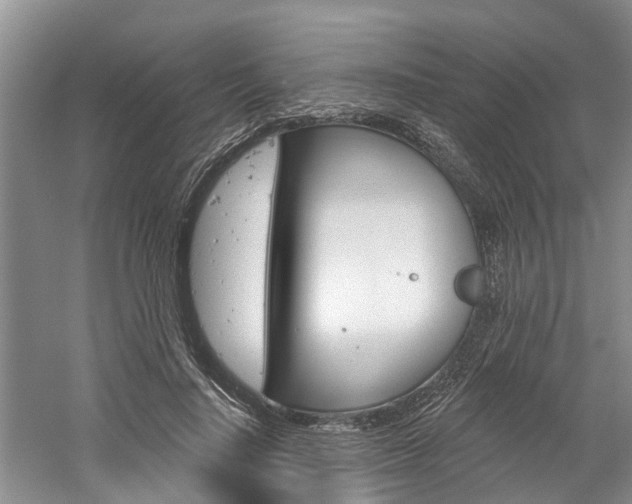 X0000061150644200511181034