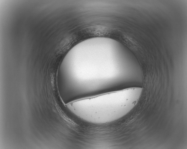 X0000061150646200511181034