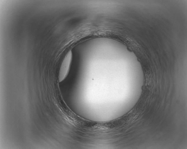 X0000061150648200511181034