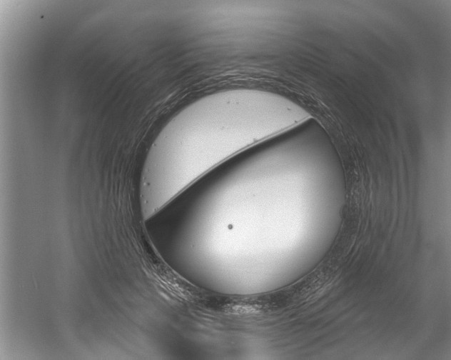 X0000061150649200511181034