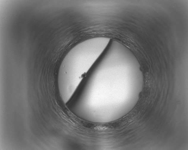 X0000061150650200511181034