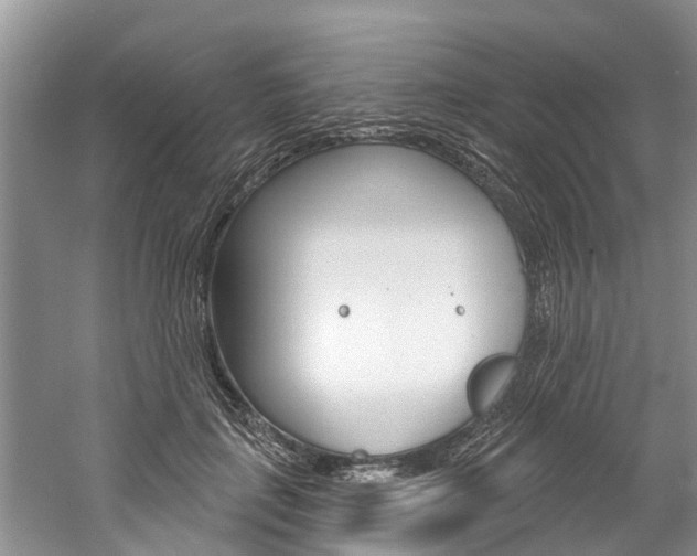 X0000061150651200511181034