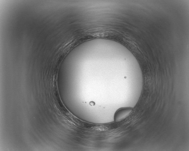 X0000061150652200511181034