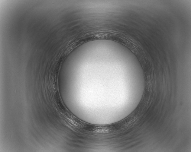 X0000061150653200511181034