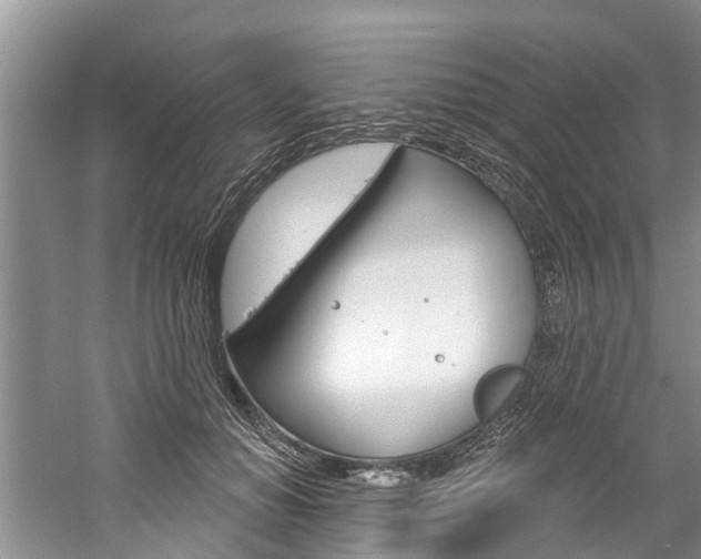 X0000061150654200511181034