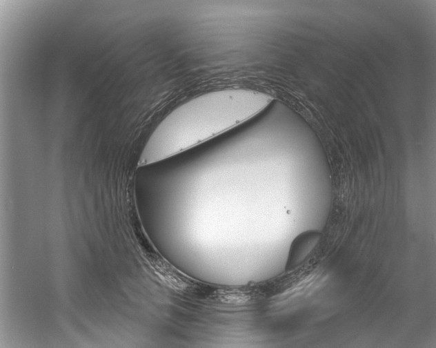 X0000061150658200511181034