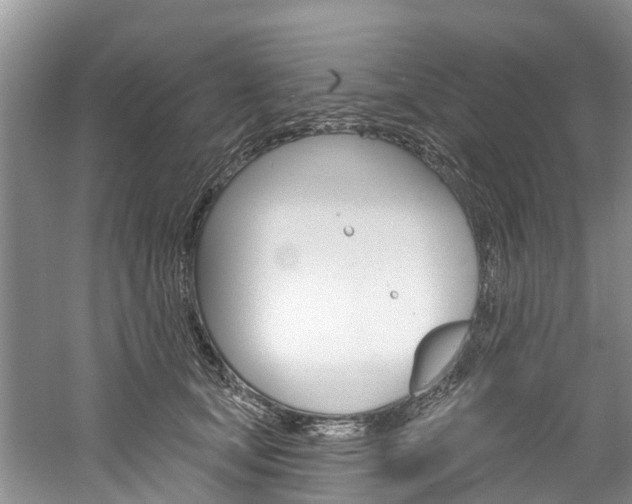 X0000061150659200511181034