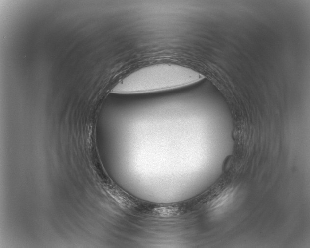 X0000061150660200511181034