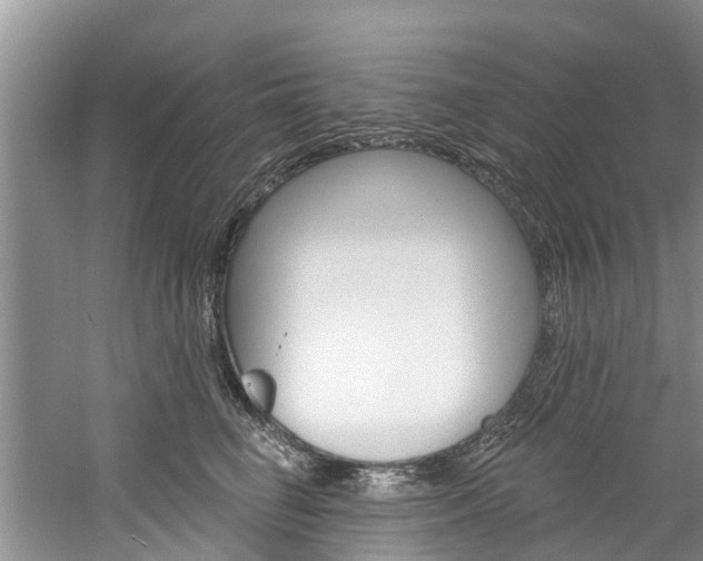 X0000061150662200511181034