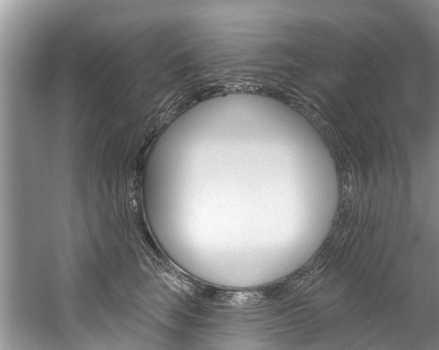 X0000061150663200511181034