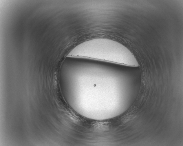 X0000061150664200511181034