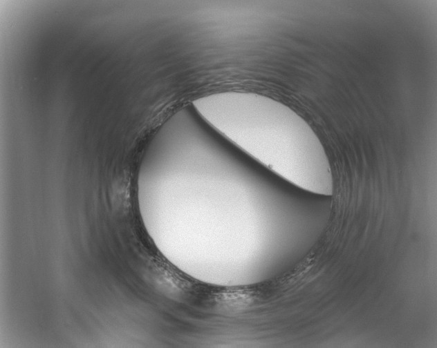 X0000061150668200511181034