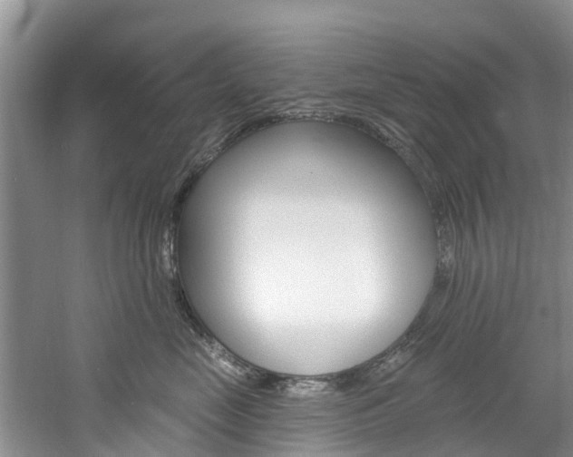 X0000061150669200511181034