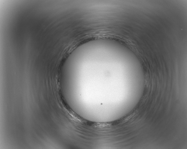 X0000061150670200511181034