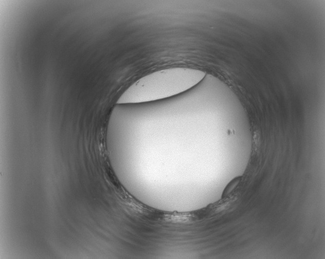 X0000061150671200511181034