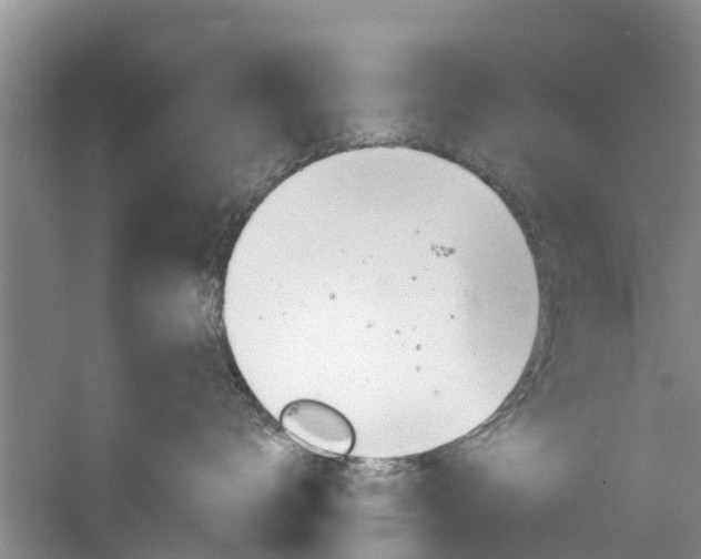 X0000061150672200511181034