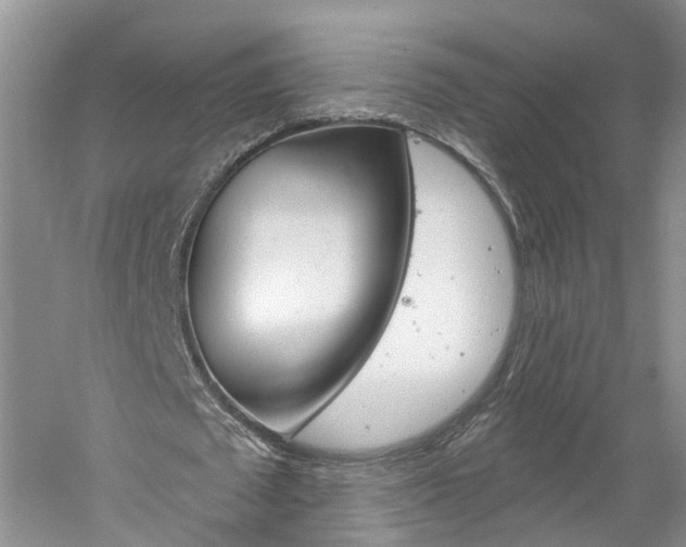 X0000061150673200511181033