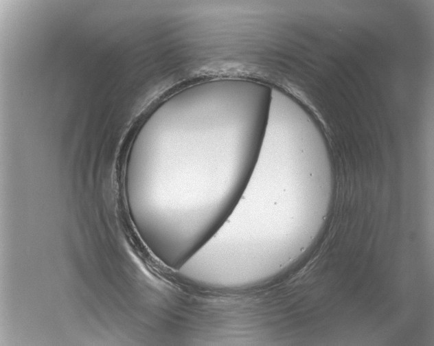 X0000061150674200511181033