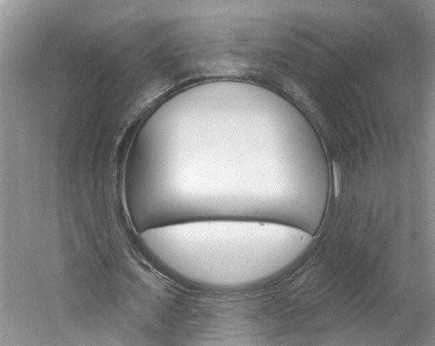 X0000061150675200511181033