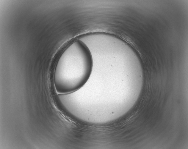 X0000061150676200511181033