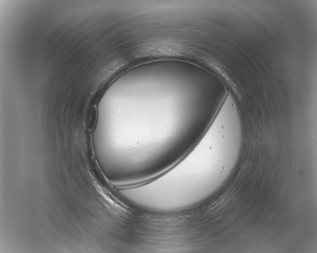 X0000061150677200511181033